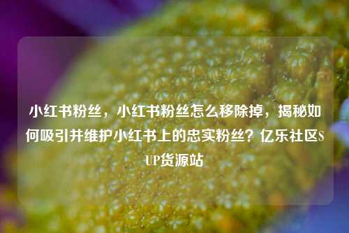 小红书粉丝，小红书粉丝怎么移除掉	，揭秘如何吸引并维护小红书上的忠实粉丝？亿乐社区SUP货源站  第1张