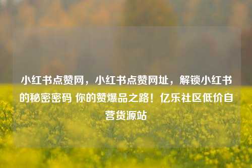小红书点赞网，小红书点赞网址，解锁小红书的秘密密码 你的赞爆品之路！亿乐社区低价自营货源站  第1张