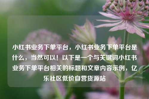 小红书业务下单平台，小红书业务下单平台是什么	，当然可以！以下是一个与关键词小红书业务下单平台相关的标题和文章内容示例，亿乐社区低价自营货源站  第1张