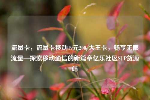 流量卡	，流量卡移动19元200g大王卡，畅享无限流量—探索移动通信的新篇章亿乐社区SUP货源站  第1张