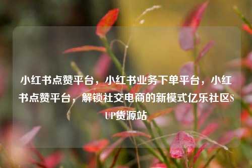 小红书点赞平台，小红书业务下单平台	，小红书点赞平台，解锁社交电商的新模式亿乐社区SUP货源站  第1张