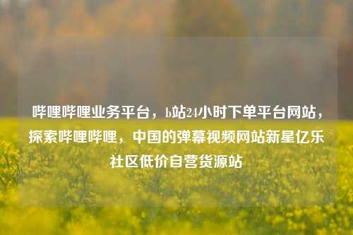 哔哩哔哩业务平台	，b站24小时下单平台网站，探索哔哩哔哩，中国的弹幕视频网站新星亿乐社区低价自营货源站  第1张