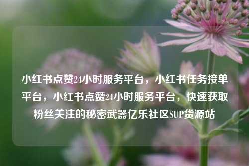 小红书点赞24小时服务平台，小红书任务接单平台，小红书点赞24小时服务平台	，快速获取粉丝关注的秘密武器亿乐社区SUP货源站  第1张
