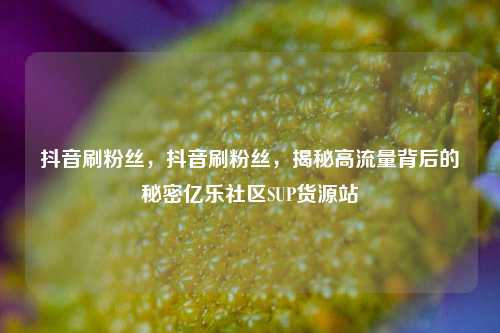 抖音刷粉丝，抖音刷粉丝	，揭秘高流量背后的秘密亿乐社区SUP货源站  第1张